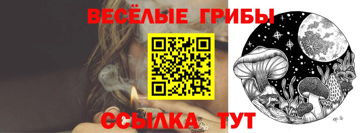 Псилоцибиновые грибы мухоморы  Вход с VPN  Ставрополь  Псилоцибиновые грибы GOLDEN TEACHER 