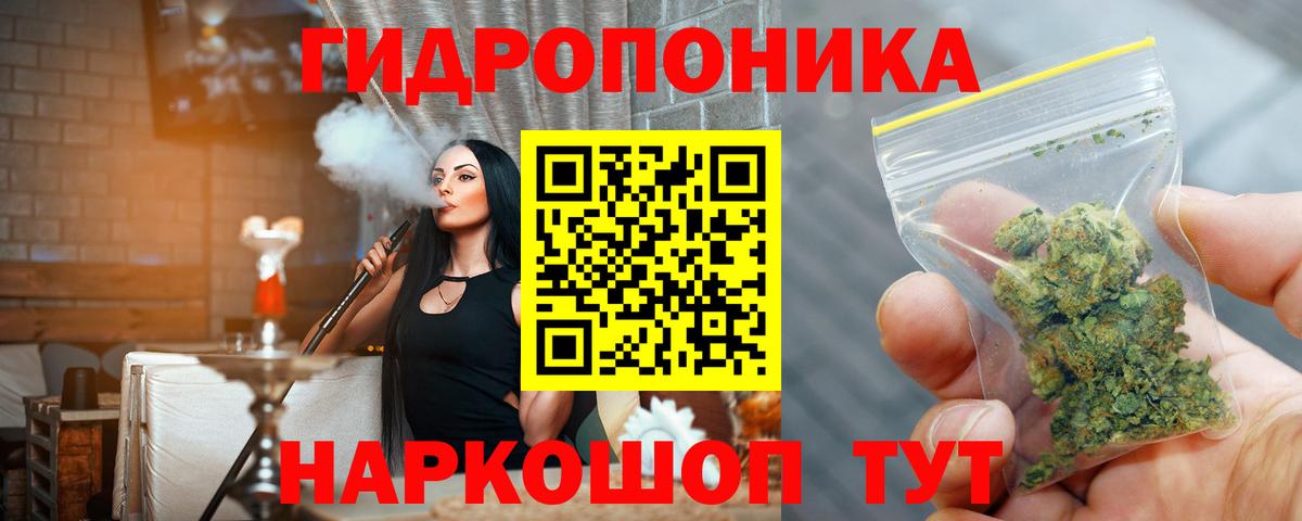 Бошки марихуана конопля Ставрополь